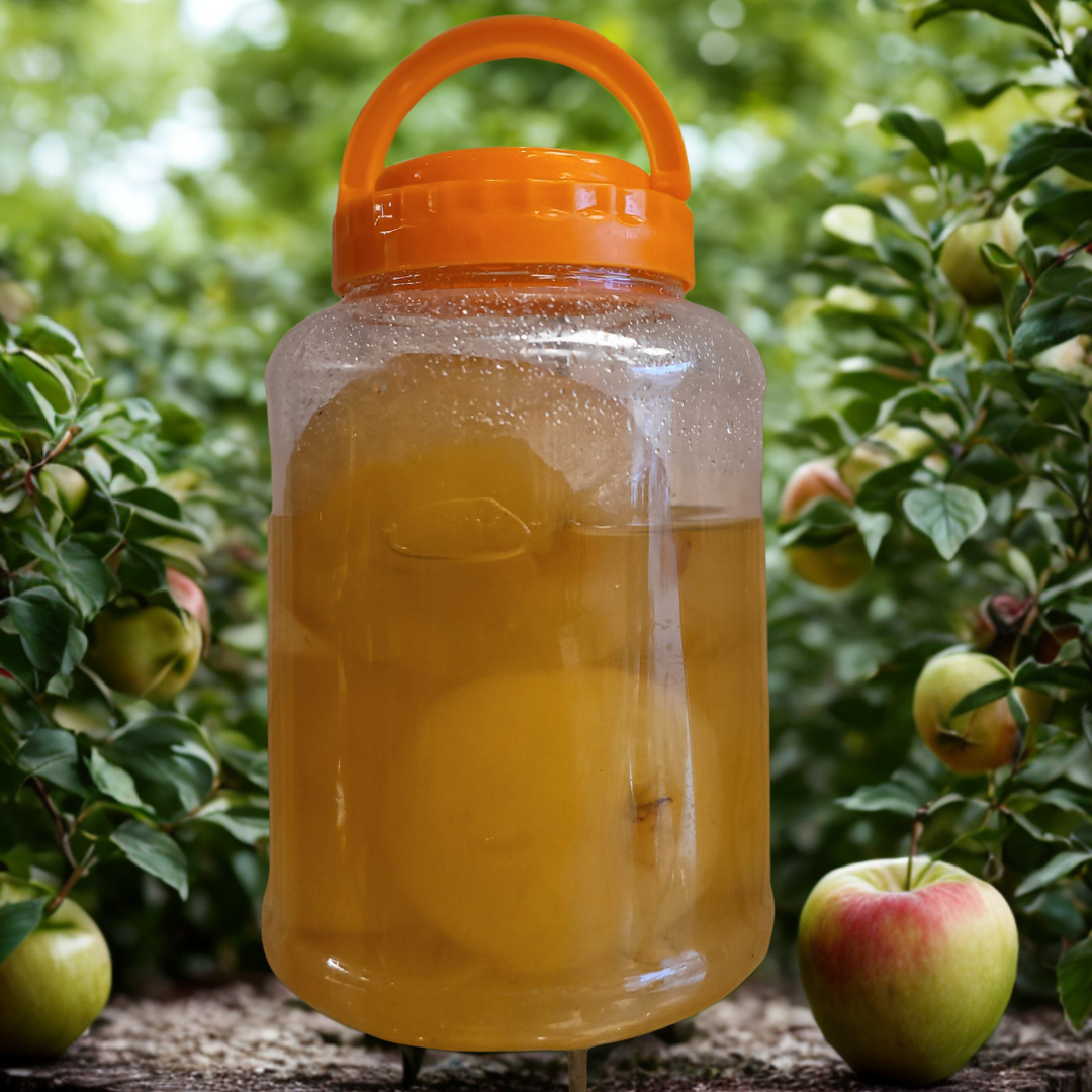 Apple Murabba - 1Kg