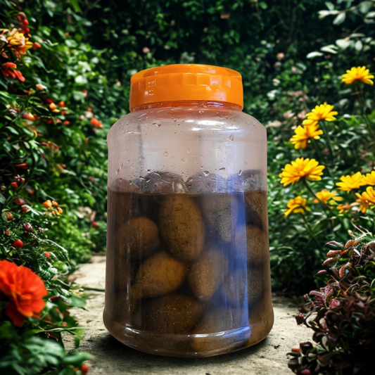 Hareer Murabba - 1Kg
